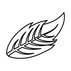 leaf icon image