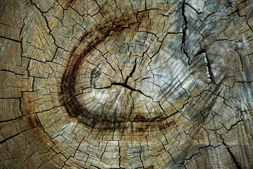 Old wooden texture. Abstract background.