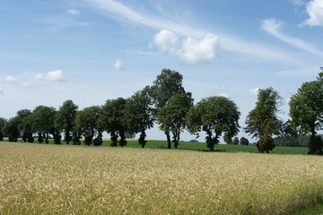 Krajobraz mazowiecki © Rafa