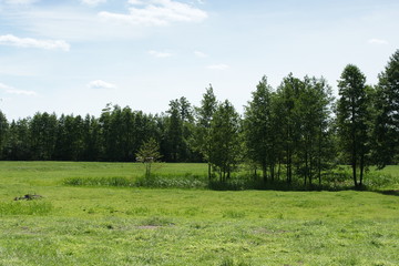 Krajobraz mazowiecki