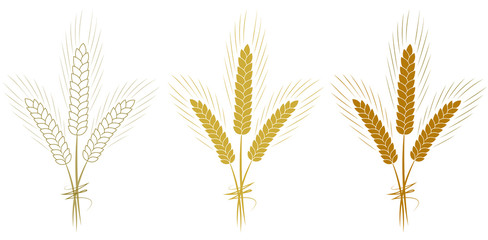 Wheat ears set isolated on white background vector illustration. Ears of wheat, barley or rye.