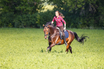 Young rider woman on galloping horse without holding bridle. Free riding equestrian background