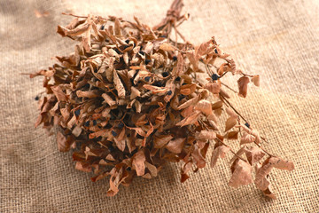Dried blueberries on the table