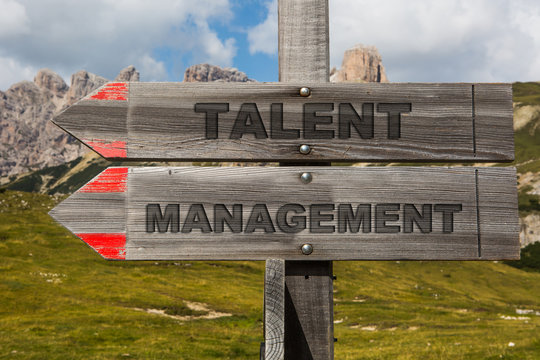 Talent Management Hinweis