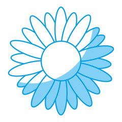 beautiful flowers icon