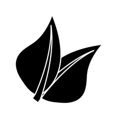 leaves icon image