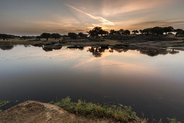 Fototapeta premium Dawn near Arroyo de la Luz. Extremadura. Spain.