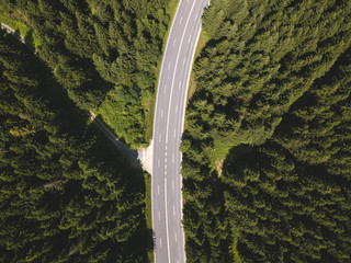 Street Crossing the Harz