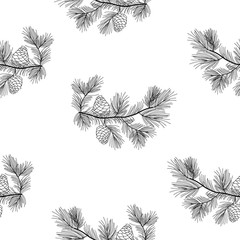 Pine tree branches seamless pattern, transparent background.