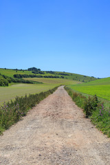 Fototapeta na wymiar Pathway through Farmland