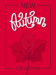 New Autumn Collection. Seasonal poster template for design. Beautiful maple leaf and handwritten lettering.
 Vector illustration