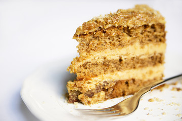 Slice of delicious honey cake on white plate