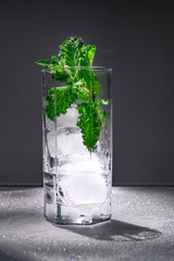 strong Glass with melted ice and green spring of mint