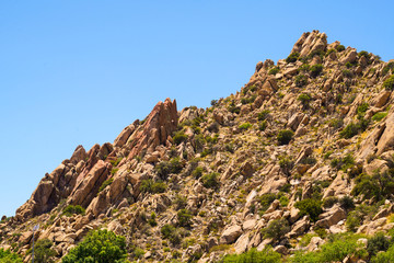 The stones on the mountain fit together like a very complicated puzzle.