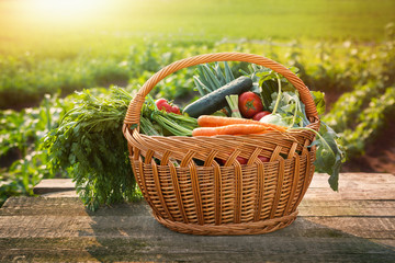 Fototapeta na wymiar Vegetables on the table in basket