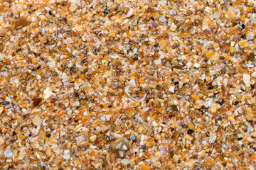 Wet multicolor sand on beach in sun summer day