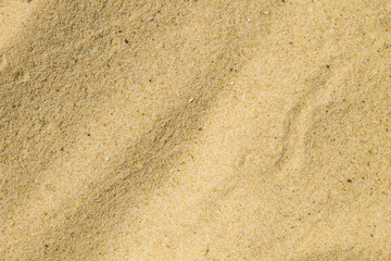 Sand texture. Sandy beach for background