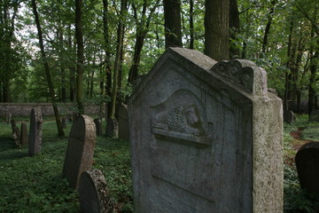 Fototapeta premium old jewish cemetery