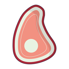 steak of meat icon