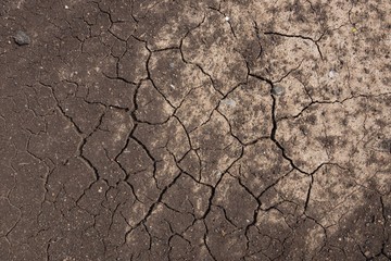 Dry cracked brown earth, texture background, desert