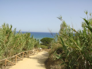 Chemin de plage