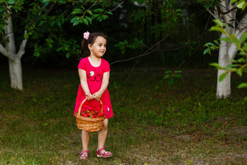 Little girl is carrying a basket of strawberries