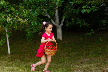 Little girl is carrying a basket of strawberries