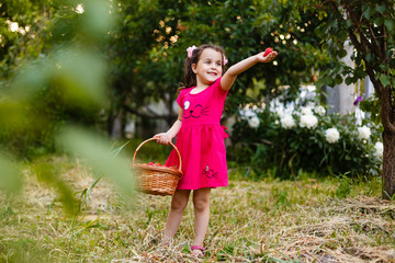 Little girl is carrying a basket of strawberries