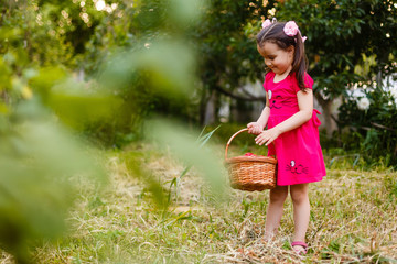 Little girl is carrying a basket of strawberries