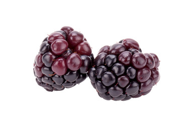 Fresh berry blackberry with green mint leaves isolated