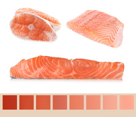 Salmon color lineal and fish pieces on white background