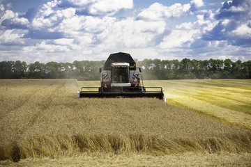 Fototapeta premium combine harvester working on a wheat field.