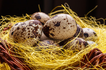 Obraz premium Quail eggs in a decorative nest