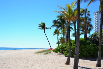 Fototapeta na wymiar Key West Beach, Florida
