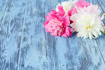 Pink peony flower on dark rustic wooden background with copy space for greeting message. Mother's Day and spring background concept