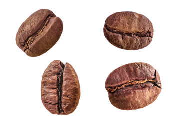 Set of four different roasted arabica coffee beans close-up isolated on white background
