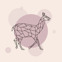 Lama side view. Geometric style. Vector illustration. © greens87