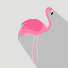 Flamingo cartoon flat icon. Brazil. Vector illustration.