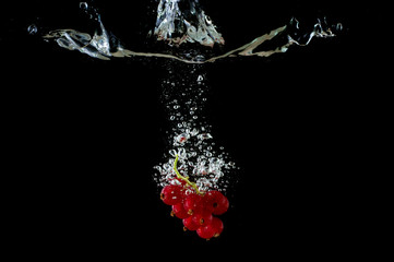 Falling fresh red currant in water, splash with bulbs on a black background