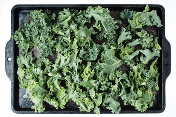 Kale on a cookie sheet