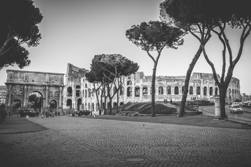 coliseum place