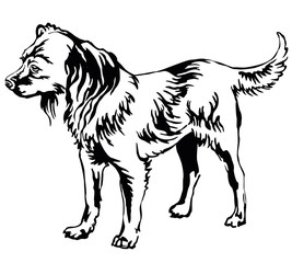 Decorative standing portrait of dog Russian Toy Terrier, vector illustration