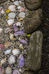 Sea shells background