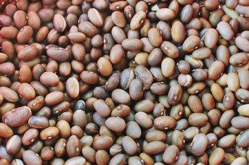 Brown kidney beans background