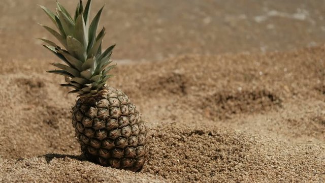 Ripe Pineapple Lying On The Sand Near Transparent Waves On The Shore