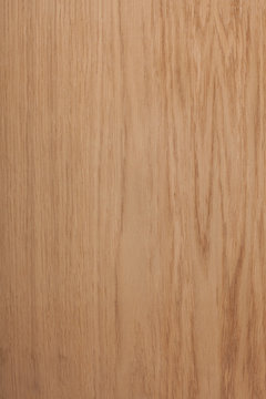 wood texture, oak 
