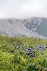 volcan la R&eacute;union