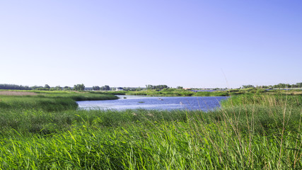 залив на реке.пейзаж. © waspls