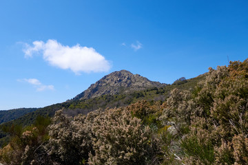 Fototapeta na wymiar Corsican mountain