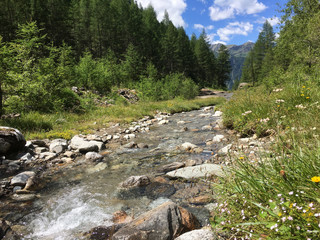 Gebirgsbach